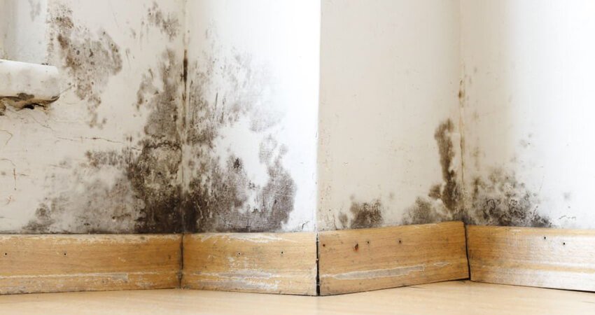 Pared con humedad por capilaridad